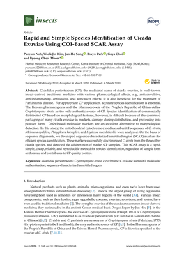 Rapid and Simple Species Identification of Cicada Exuviae