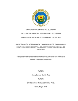 IDENTIFICACIÓN MORFOLÓGICA Y MOLECULAR DE Cochliomyia Spp