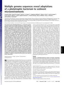 Multiple Genome Sequences Reveal Adaptations of a Phototrophic Bacterium to Sediment Microenvironments