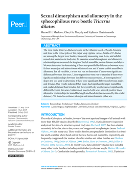 Sexual Dimorphism and Allometry in the Sphecophilous Rove Beetle Triacrus Dilatus Maxwell H