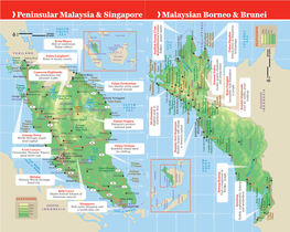 Peninsular Malaysia & Singapore ›Malaysian