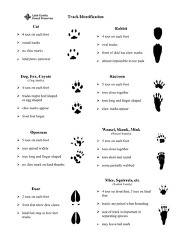 LCFPD Track Identification and Walking Gaits