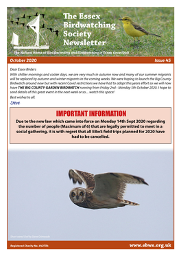 The Essex Birdwatching Society Newsletter the Natural Home of Bird Recording and Birdwatching in Essex Since 1949 October 2020 Issue 45