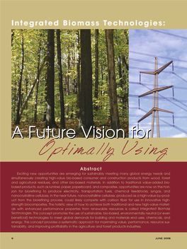 A Future Vision for Optimally Using Wood and Biomass