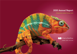 2020 Annual Report Adaptation Makes Things Work