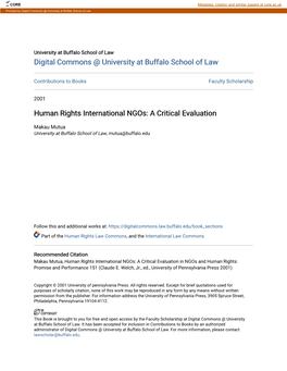 Human Rights International Ngos: a Critical Evaluation