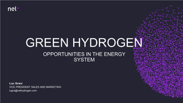 Green Hydrogen Opportunities in the Energy System