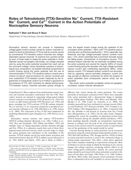 Current, TTX-Resistant Na؉ Current, and Ca2؉ Current in the Action Potentials of Nociceptive Sensory Neurons