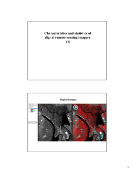 Characteristics and Statistics of Digital Remote Sensing Imagery (1)