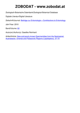 New and Poorly Known Epermeniidae from the Neotropical, Australasian, Oriental and Palaearctic Regions (Lepidoptera)