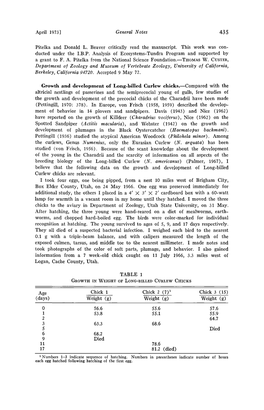 Growth and Development of Long-Billed Curlew Chicks