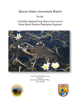 Species Status Assessment Report for the Columbia Spotted Frog (Rana Luteiventris), Great Basin Distinct Population Segment