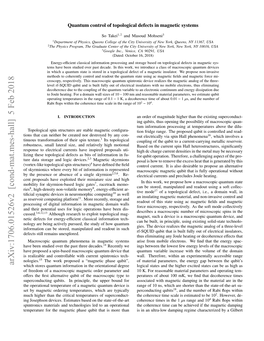 Quantum Control of Topological Defects in Magnetic Systems