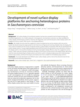 Development of Novel Surface Display Platforms for Anchoring