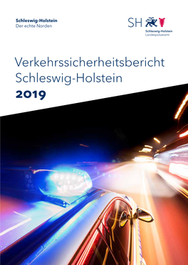 Verkehrssicherheitsbericht Schleswig-Holstein 2019