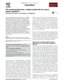 The Pre/Parasubiculum: a Hippocampal Hub for Scene- Based Cognition? Marshall a Dalton and Eleanor a Maguire