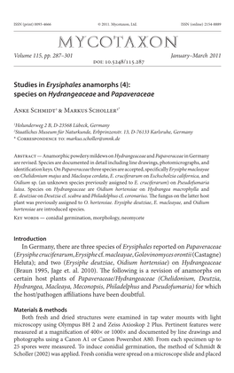 Studies in &lt;I&gt;Erysiphales&lt;/I&gt; Anamorphs (4): Species on &lt;I&gt;Hydrangeaceae&lt;/I&gt; and &lt;I&gt;Papaveraceae&L