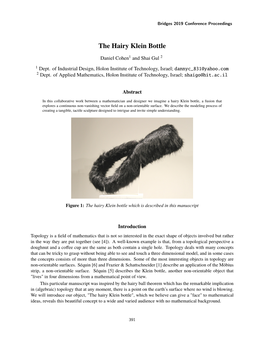 The Hairy Klein Bottle