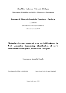 Molecular Characterization of Acute Myeloid Leukemia by Next Generation Sequencing: Identification of Novel Biomarkers and Targets of Personalized Therapies