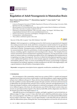 Regulation of Adult Neurogenesis in Mammalian Brain