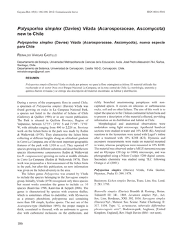 Polysporina Simplex (Davies) Vězda (Acarosporaceae, Ascomycota) New to Chile