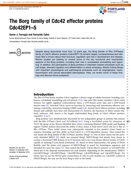 The Borg Family of Cdc42 Effector Proteins Cdc42ep1–5