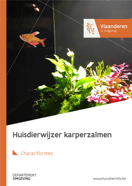 Huisdierwijzer Karperzalmen