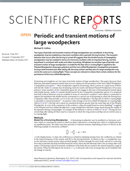 Periodic and Transient Motions of Large Woodpeckers Michael D