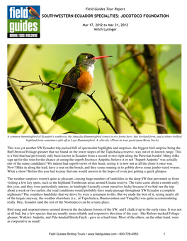 Field Guides Birding Tours Southwestern Ecuador