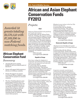 FY 2013 Elephant Projects