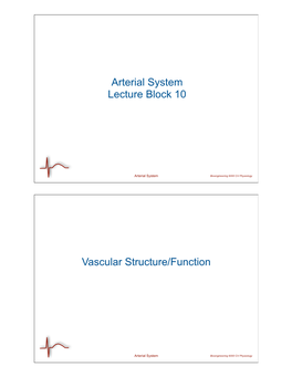 Arterial System Lecture Block 10 Vascular Structure/Function