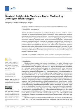 Structural Insights Into Membrane Fusion Mediated by Convergent Small Fusogens