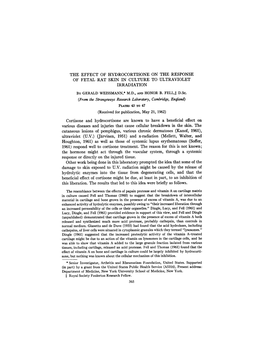 The Effect of Hydrocortisone on the Response of Fetal Rat Skin in Culture to Ultraviolet Irradiation