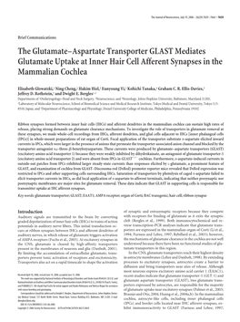 The Glutamate–Aspartate Transporter GLAST Mediates Glutamate Uptake at Inner Hair Cell Afferent Synapses in the Mammalian Cochlea