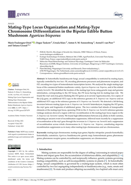 Mating-Type Locus Organization and Mating-Type Chromosome Differentiation in the Bipolar Edible Button Mushroom Agaricus Bisporus