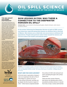 Skin Lesions in Fish