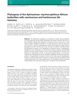 Phylogeny of the Aphnaeinae: Myrmecophilous African Butterflies