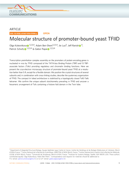 Molecular Structure of Promoter-Bound Yeast TFIID