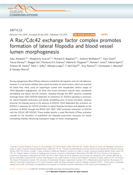 A Rac/Cdc42 Exchange Factor Complex Promotes Formation of Lateral ﬁlopodia and Blood Vessel Lumen Morphogenesis