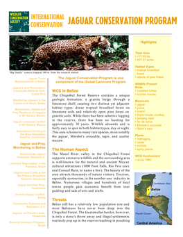 Jaguar Conservation Program