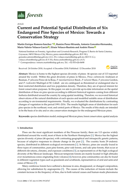 Current and Potential Spatial Distribution of Six Endangered Pine Species of Mexico: Towards a Conservation Strategy