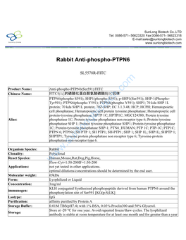 Rabbit Anti-Phospho-PTPN6-SL5578R-FITC