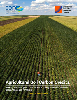 Agricultural Soil Carbon Credits: Making Sense of Protocols for Carbon Sequestration and Net Greenhouse Gas Removals
