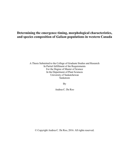 Determining the Emergence Timing, Morphological Characteristics, and Species Composition of Galium Populations in Western Canada