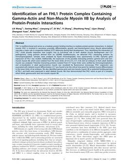 Identification of an FHL1 Protein Complex Containing Gamma-Actin and Non-Muscle Myosin IIB by Analysis of Protein-Protein Interactions