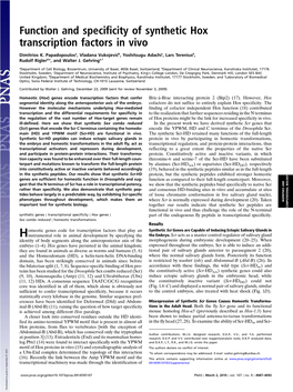 Function and Specificity of Synthetic Hox Transcription Factors in Vivo