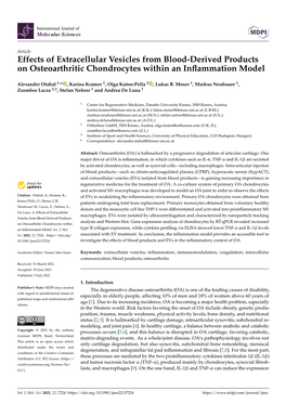 Effects of Extracellular Vesicles from Blood-Derived Products on Osteoarthritic Chondrocytes Within an Inﬂammation Model