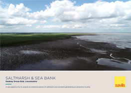 Saltmarsh & Sea Bank