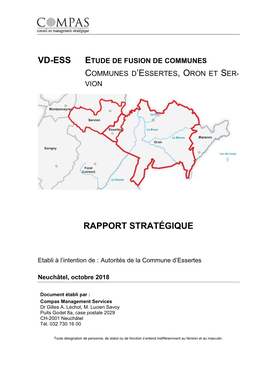 Rapport Stratégique