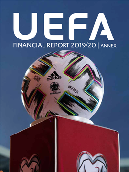 Financial Report 2019/20 | Annex